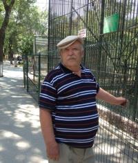 ARİF GÜLSEREN