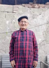 SATILMIŞ PALA 